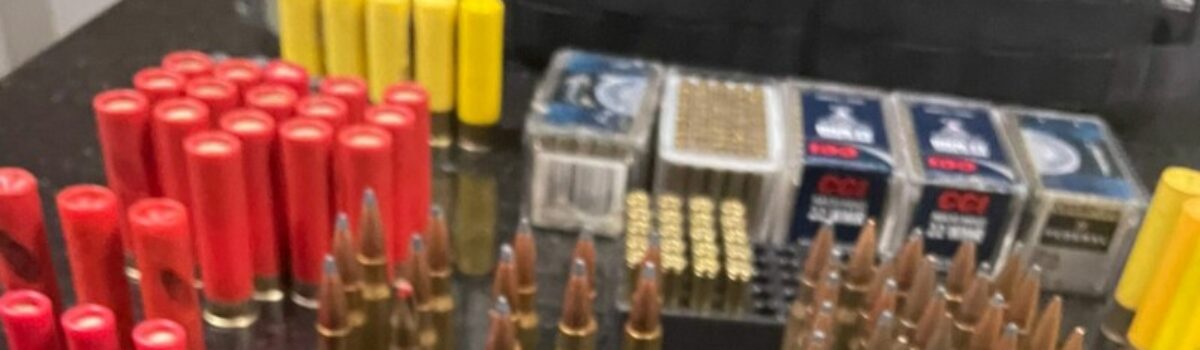 PCGO apreende mais de 500 munições de alto calibre em Trindade