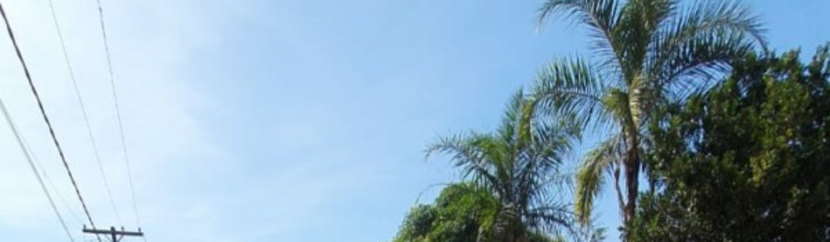 Operação Inquietação investiga homicídios em Niquelândia e apreende arma e objetos receptados