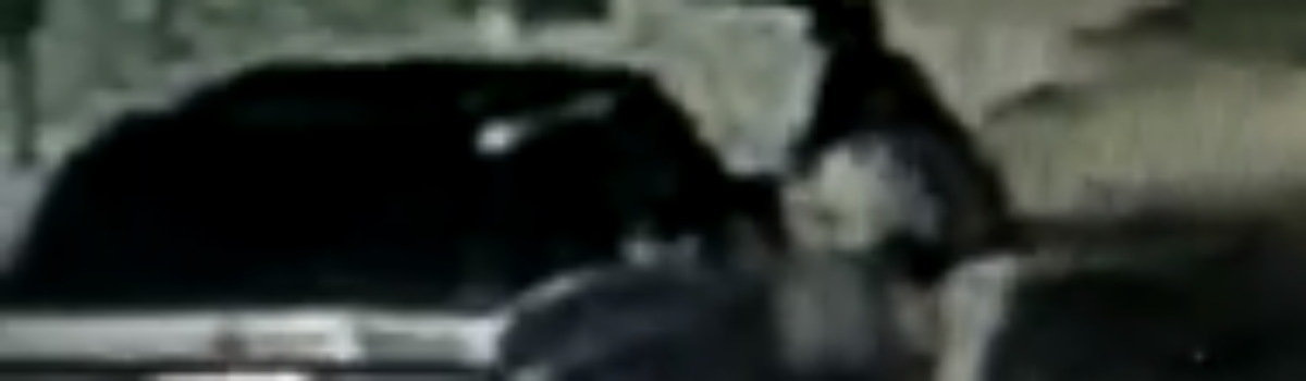 PCGO prende homem que abordou vítima após sair de boate, em Formosa, a arrastou para dentro de carro e estuprou