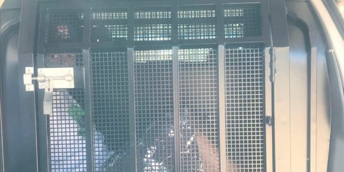 Acusado de estuprar, matar e abandonar corpo de mulher em Aparecida de Goiânia é condenado em júri popular