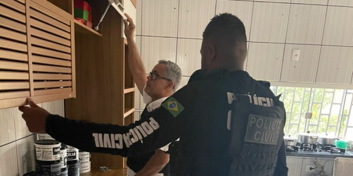 PC e PM apreendem armas de fogo e prendem investigado de violência contra a ex-mulher