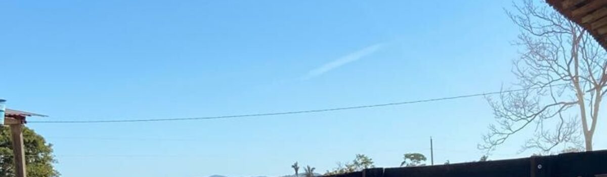 PCGO recupera 18 bezerros comprados com cheque sem fundos e revendidos a fazendeiro