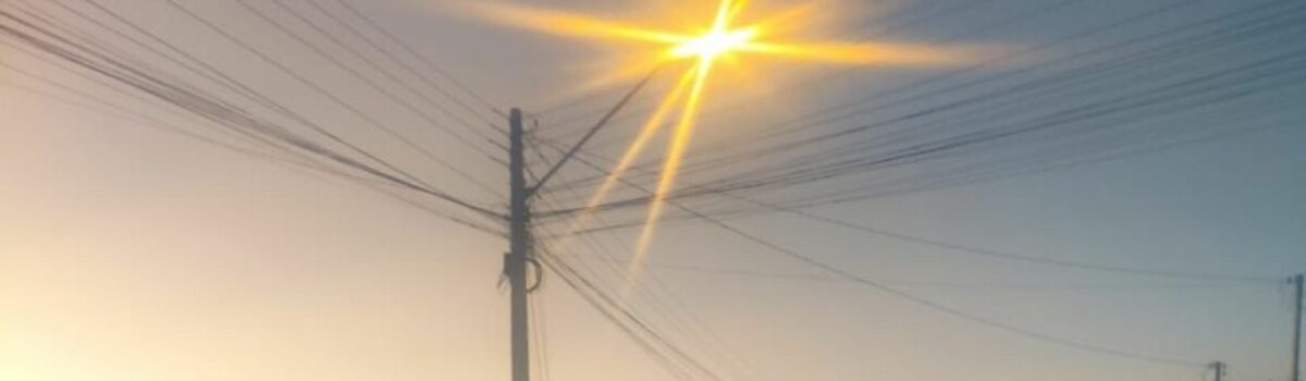 Operação Capão: mais mandados são cumpridos em investigação de furto de semoventes