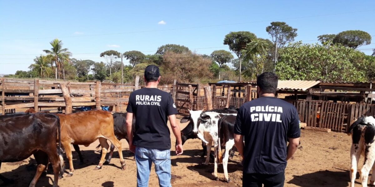 DERCR recupera animais avaliados em mais de R$ 30 mil, em Goiânia