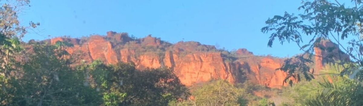 Operação Semad prende, em Mato Grosso, casal suspeito de aplicar golpe da falsa licença ambiental