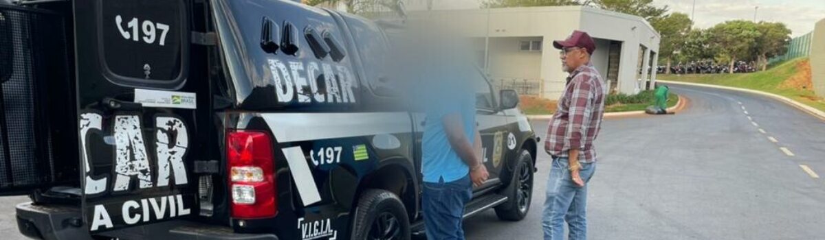 Operação Inimigo de Casa prende quatro suspeitos de furtar frangos de empresa em Goiânia