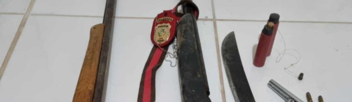 PC prende em flagrante homem que usou arma de fogo para amedrontar comunidade, em Posse