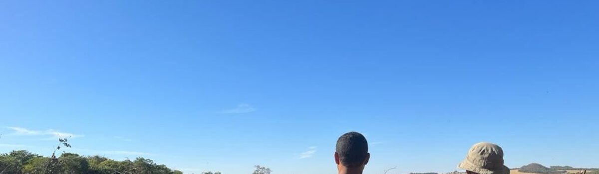 Operação apura crimes contra o meio ambiente em Orizona e falsificação de licenças