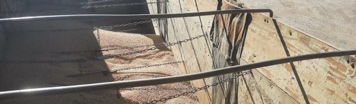 Inquérito sobre 14 toneladas de soja furtadas é finalizado com dois indiciados