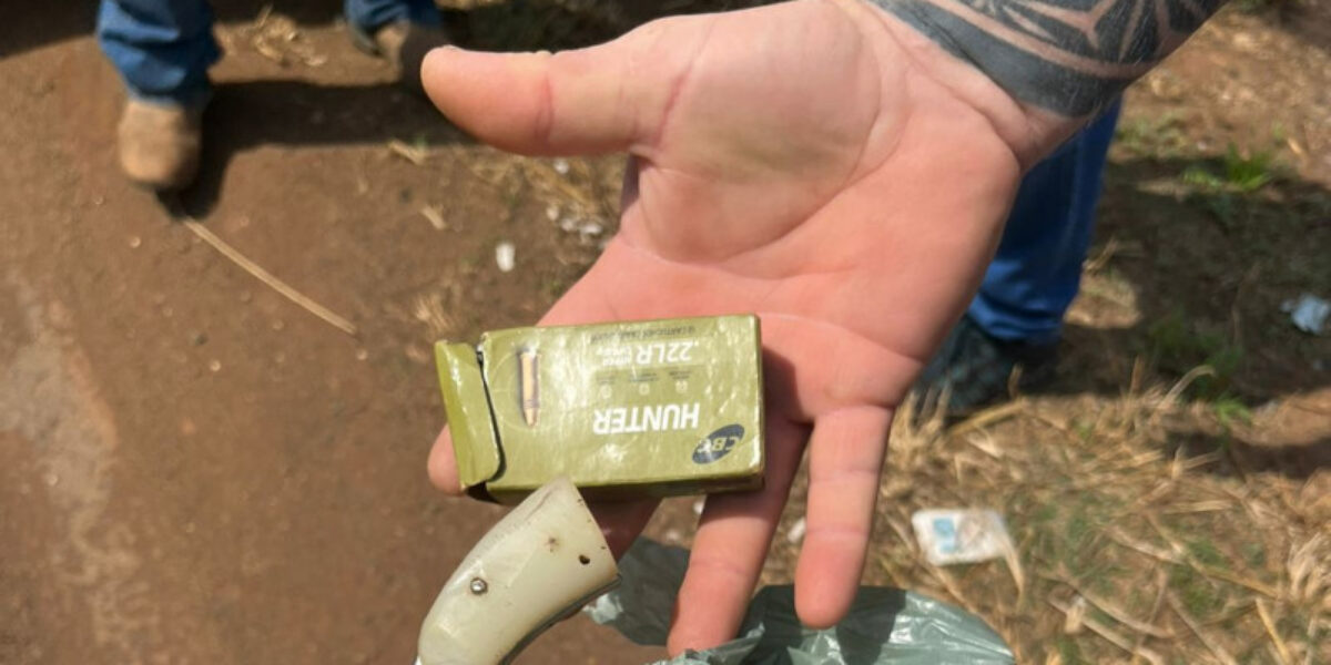 Homem é preso em rodovia por porte ilegal de arma