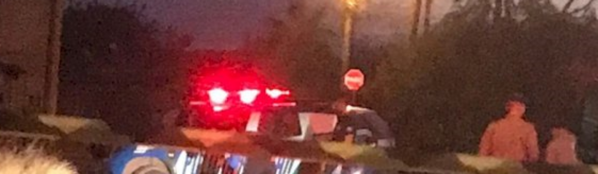 Polícia Civil conclui homicídio contra vítima de Formosa motivado por desavenças