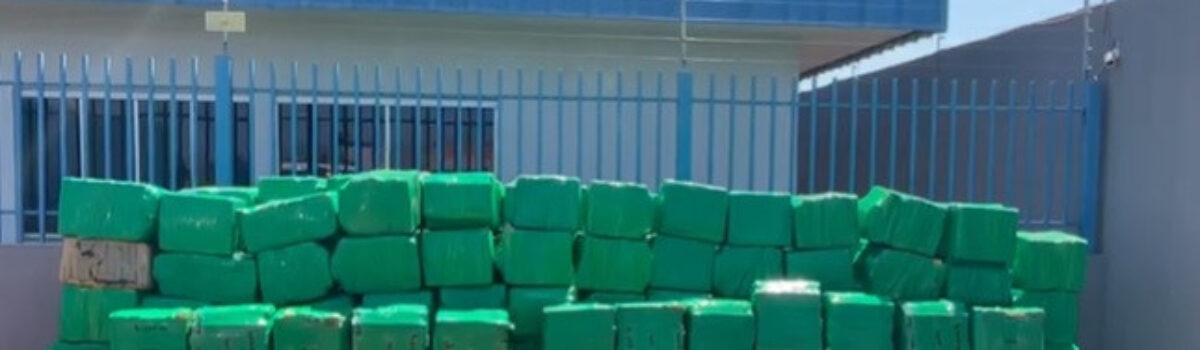 PCGO, PRF e PCMS apreendem carga de 4 toneladas de maconha
