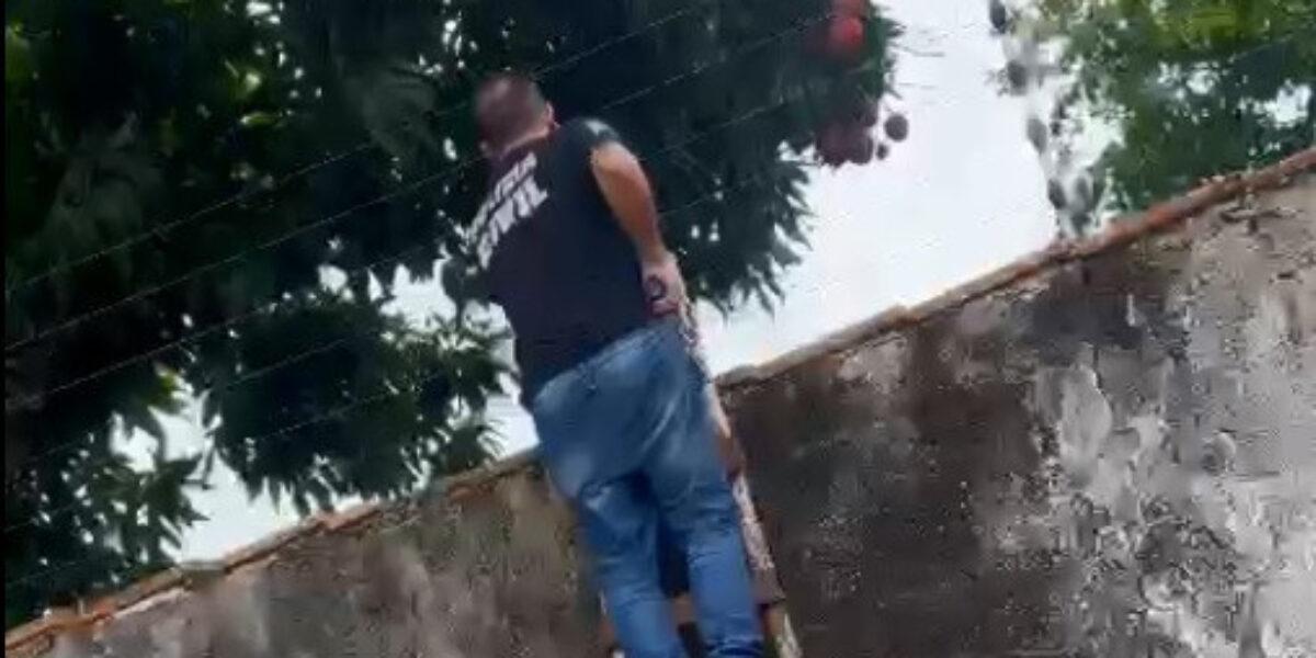 Advogado é preso em Anápolis após ameaçar, injuriar e perseguir ex-mulher