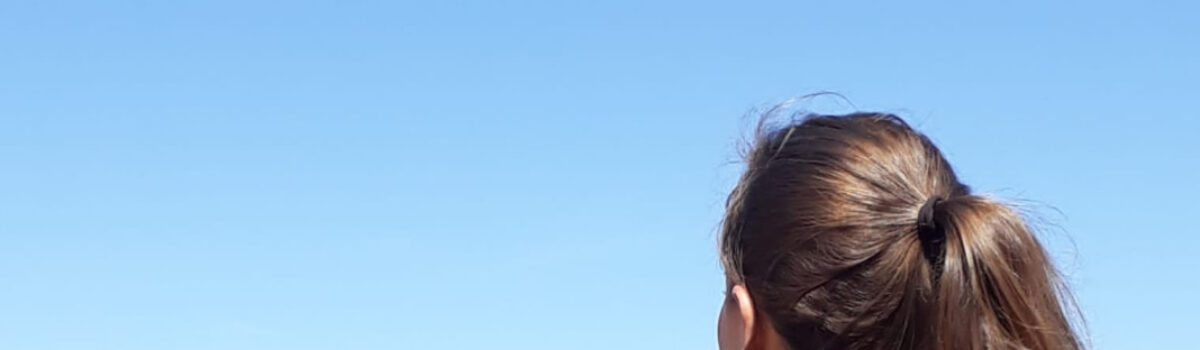 PCGO apreende mais de 125 toneladas de defensivos e fertilizantes em 2022