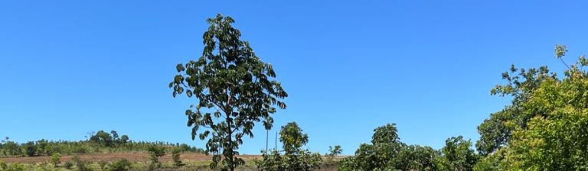 Polícia Civil encerra inquérito sobre morte de empresário em Mineiros