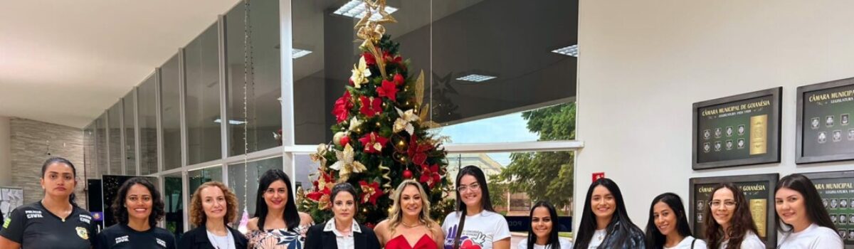 Violência contra a Mulher: Deam de Goianésia divulga resultado de concurso de redação