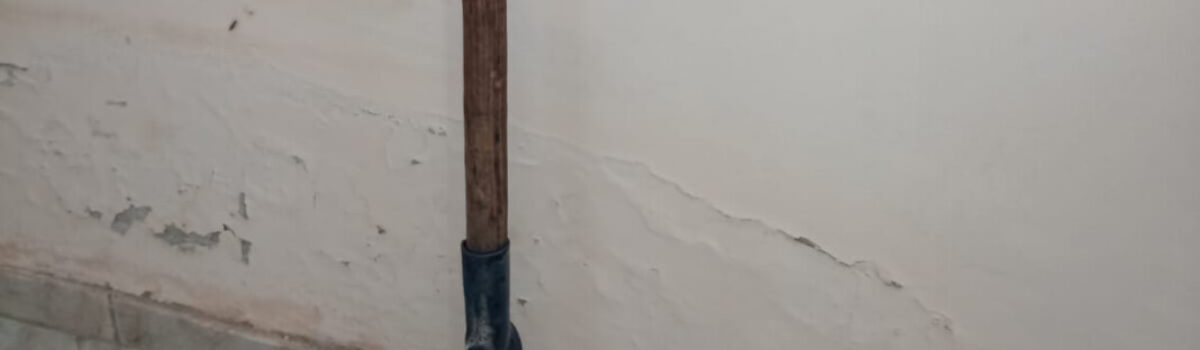 Suspeito de matar homem a golpes de foice é preso em Flores de Goiás