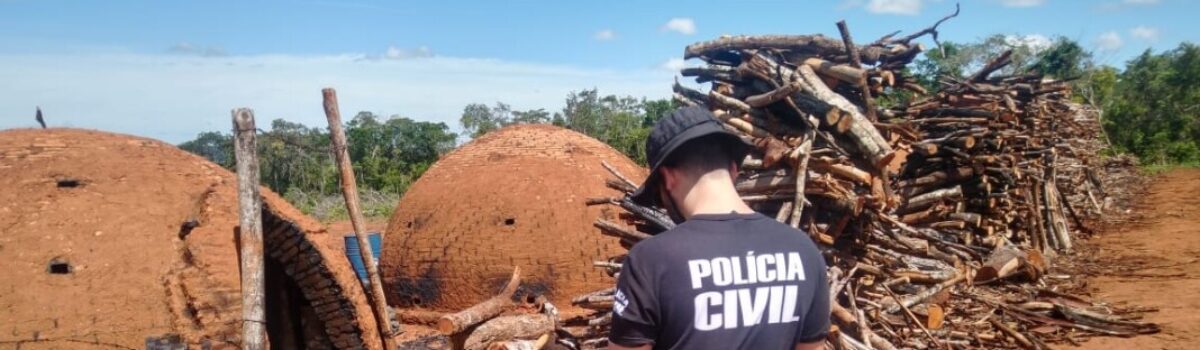 Suspeito de explorar ilegalmente madeira para produção de carvão é preso em Orizona
