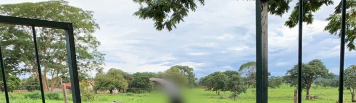 Jovem de 19 anos estupra vítima após festa de ano novo e é preso em flagrante