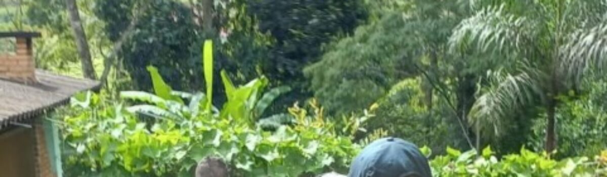 Jovem é preso em Anápolis por estupro e armazenamento de pornografia infantil