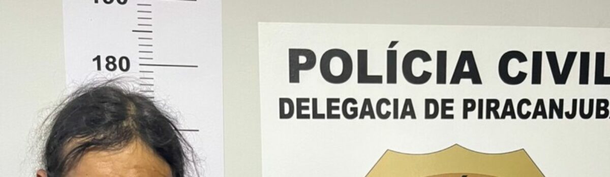 Polícia Civil prende investigado por diversos furtos e roubos em Piracanjuba