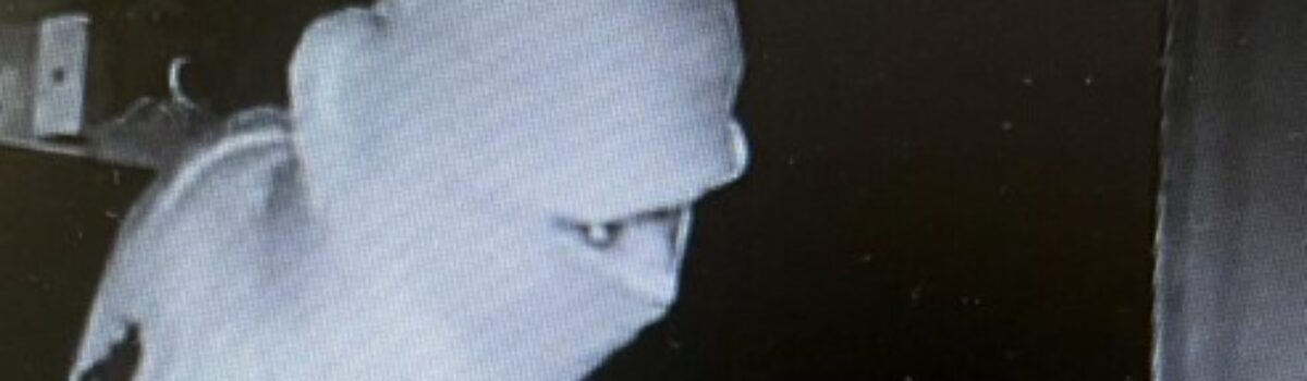 PCGO prende em flagrante suspeito de furtos e receptação, em Vianópolis