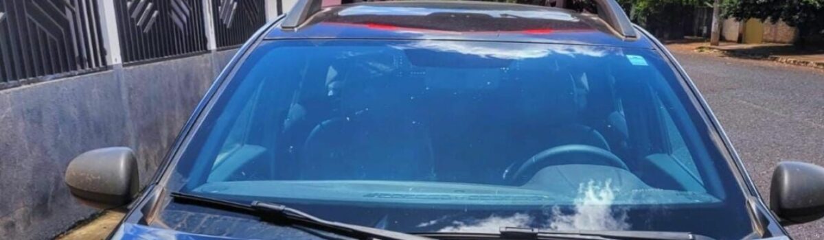 PC apreende arma usada por homem para ameaçar e lesionar ex-mulher em Cachoeira Dourada