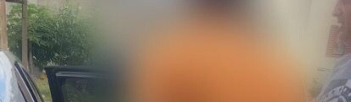 Homem é preso em Novo Gama por violência doméstica e maus-tratos aos animais