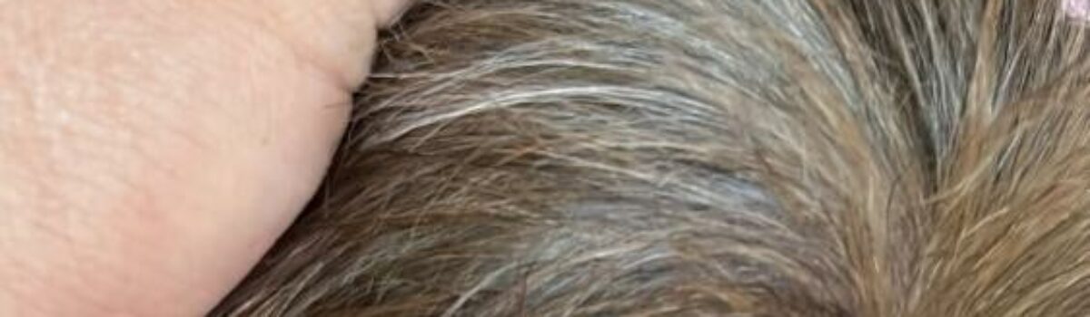 Homem de 19 anos é indiciado por maus tratos aos animais, em Caldas Novas