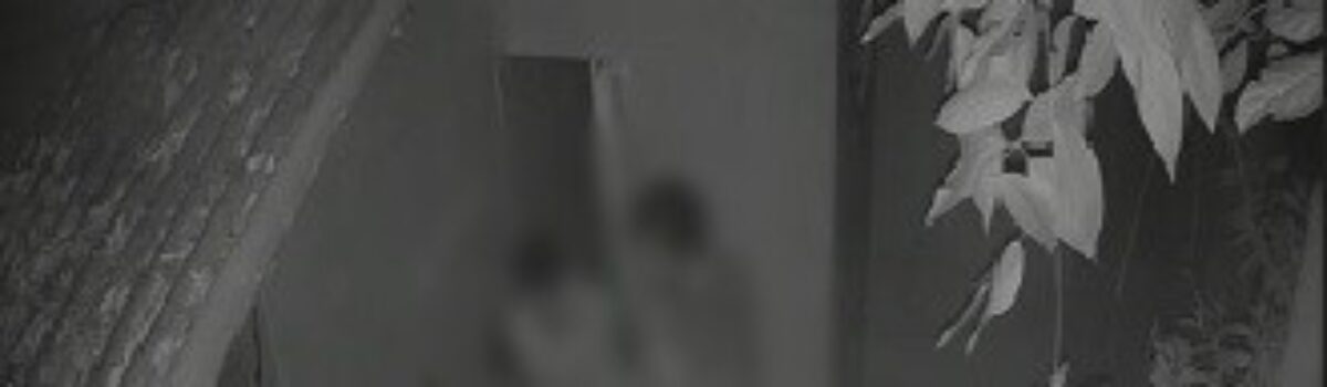 Homem furta mais de US$ 5 mil em espécie, além de joias, e é preso em Alto Paraíso