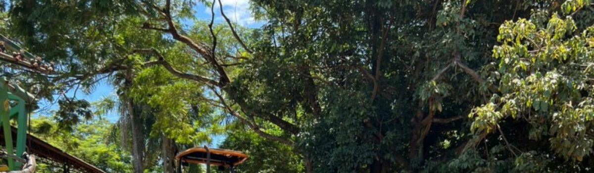 PCGO restitui ao dono trator furtado em propriedade rural de famoso escritor
