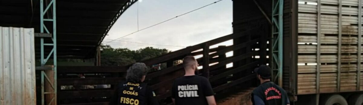 PC identifica origem de carga de gado e ajuda a recolher tributos que haviam sido sonegados