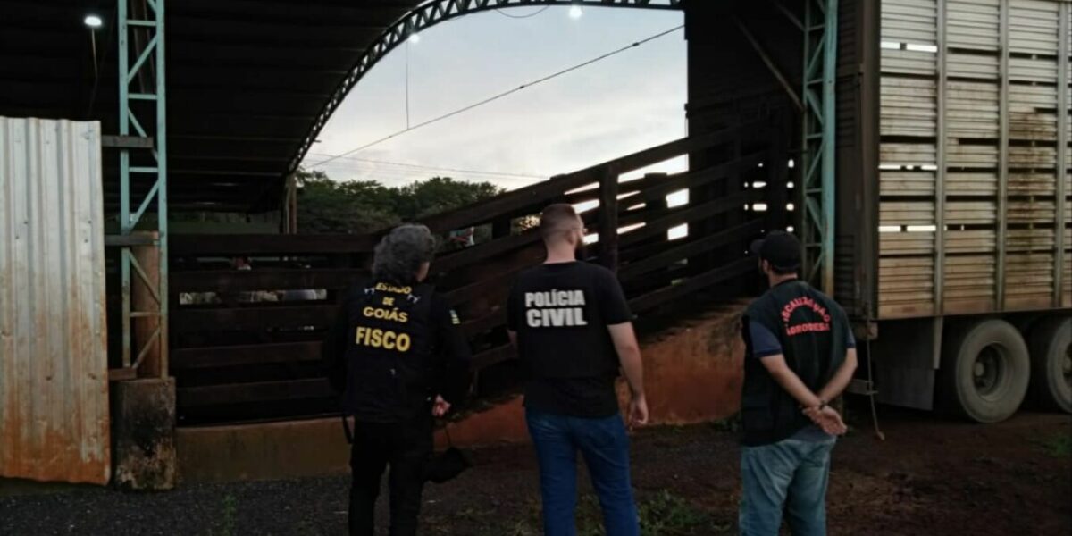 PC identifica origem de carga de gado e ajuda a recolher tributos que haviam sido sonegados