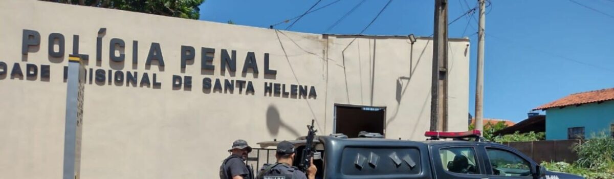 PCGO apreende 12 mil unidades de NBOME e prende traficante que a distribuía pelos Correios
