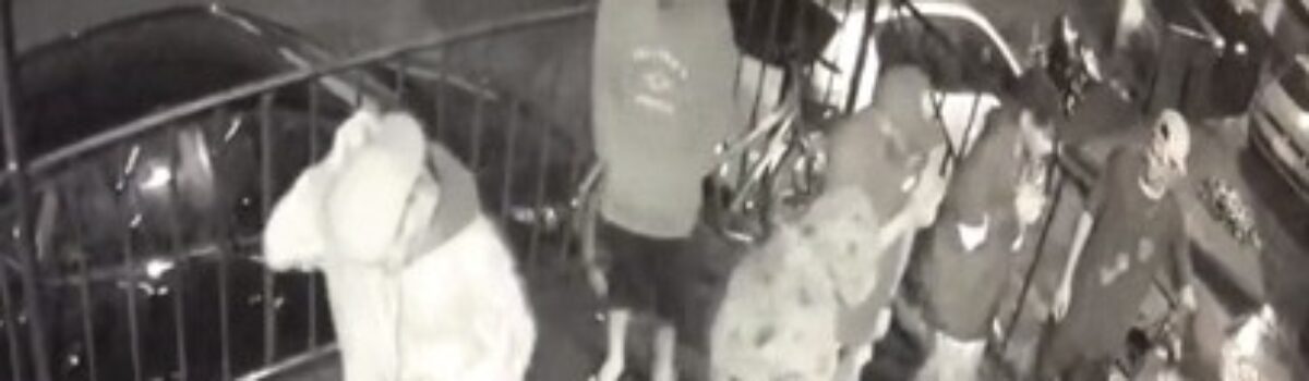 Polícia Civil faz buscas e cumpre prisão de suspeitos de homicídio contra seguranças de boate de Águas Lindas