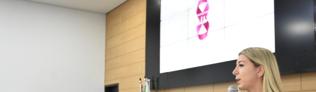 Palestra leva informações sobre a Lei Maria da Penha a escola e Câmara Municipal de Rio Verde