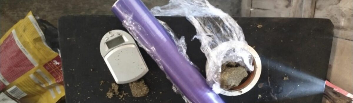 PCGO avista homem preparando drogas, em casa, e o prende em flagrant por tráfico