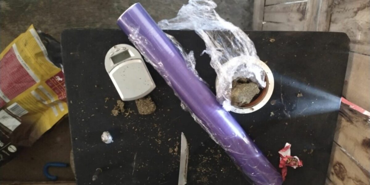 PCGO avista homem preparando drogas, em casa, e o prende em flagrant por tráfico
