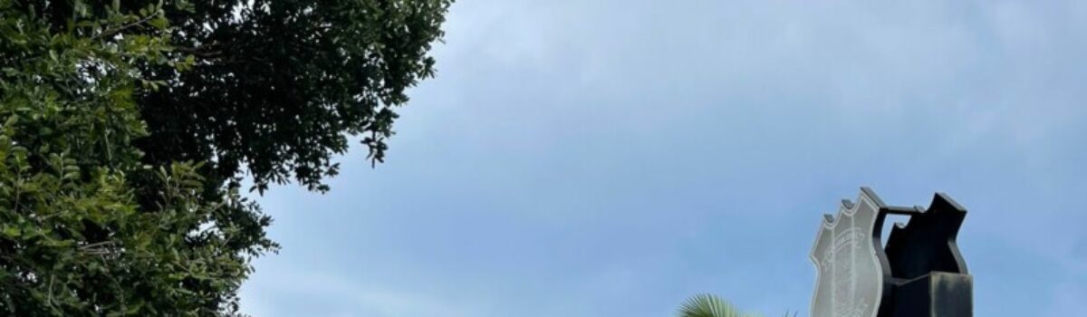 Preso autor que furtou residência de Goianésia uma semana após ser solto por roubo