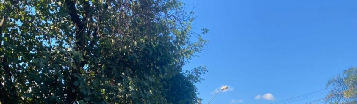 Carretinha furtada na Ceasa é recuperada pela PCGO