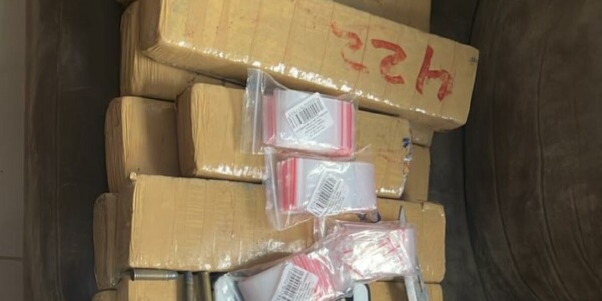 Operação apreende arma, munições e drogas e prende quatro pessoas em São Luís de Montes Belos