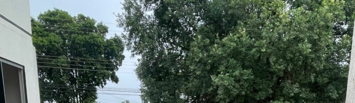 Operação Ultor 2 cumpre quatro mandados de busca contra o tráfico em Goianésia