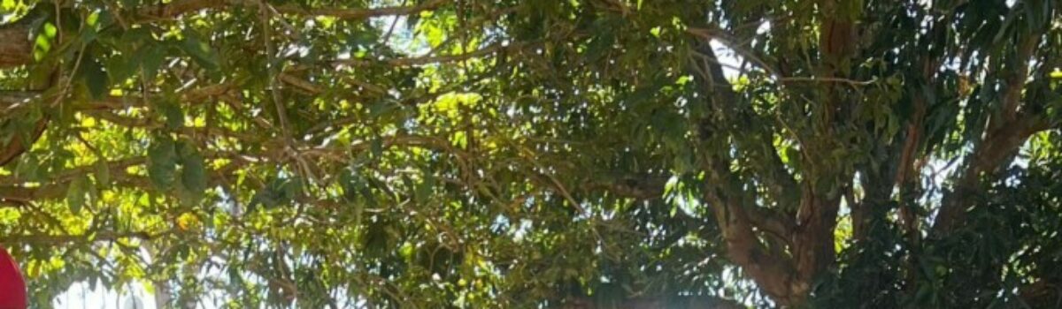 Homem suspeito de estuprar enteada é preso na zona rural de Doverlândia