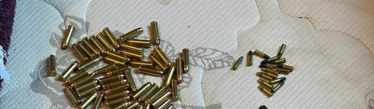 PCGO cumpre mandados de buscas em Caiapônia e apreende armas e munições