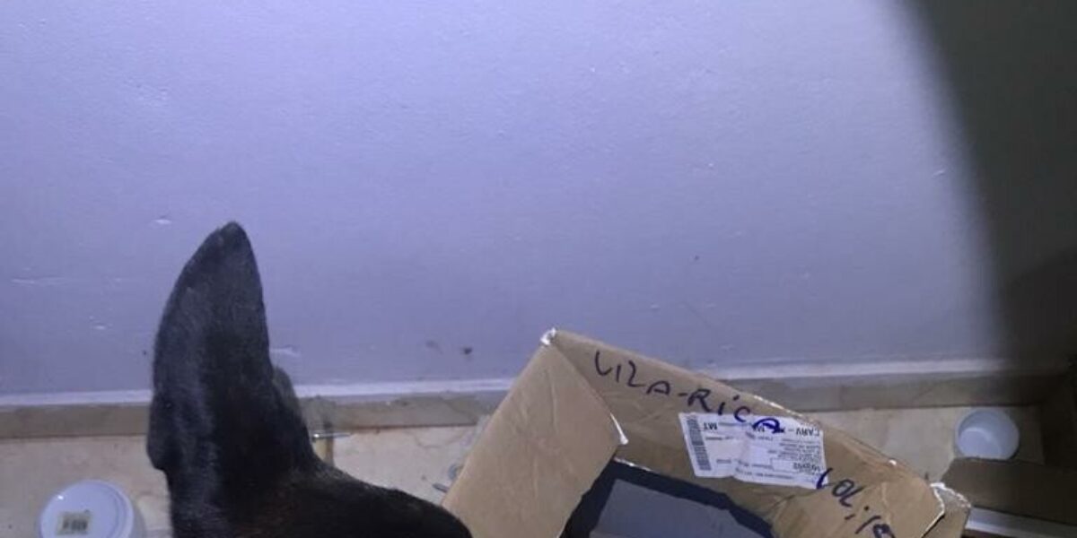 Operação Network 2 prende mais seis investigados por comércio de cocaína em Rio Verde