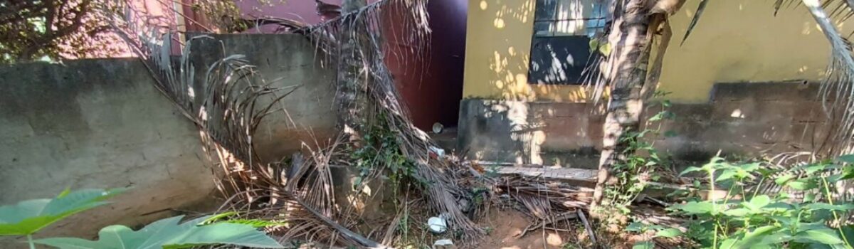 PCGO resgata cão em situação de maus-tratos, em Caldas Novas