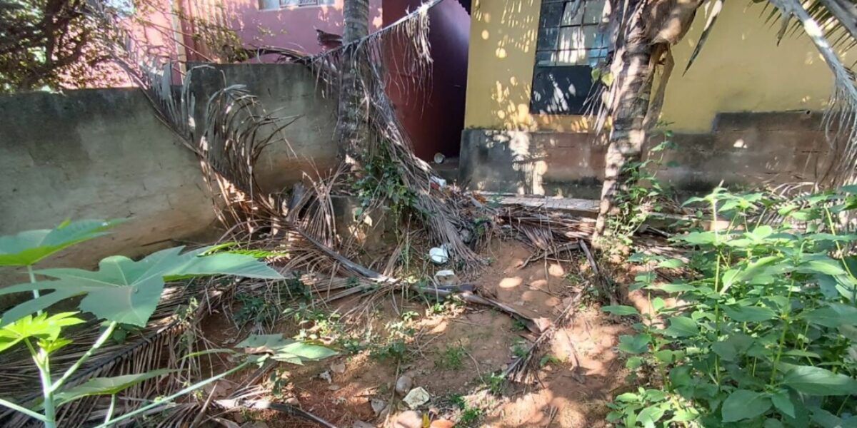 PCGO resgata cão em situação de maus-tratos, em Caldas Novas