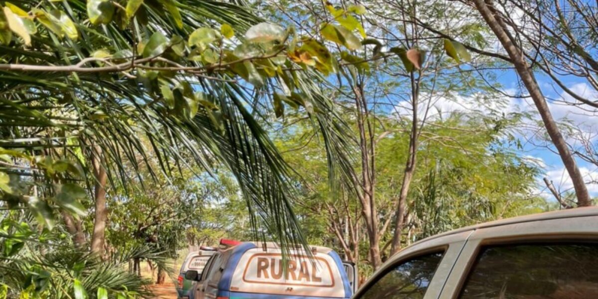 Idoso é autuado em flagrante por receptar e remarcar sinal de animais, causando maus-tratos