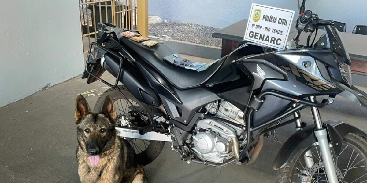 Operação Betel encontra porções de drogas dentro de guarda-roupa com ajuda de cão farejador, em Rio Verde