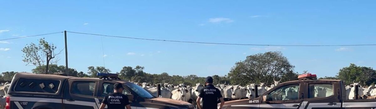 PCGO devolve 268 reses à vítima que teve prejuízo de mais de R$ 1 milhão